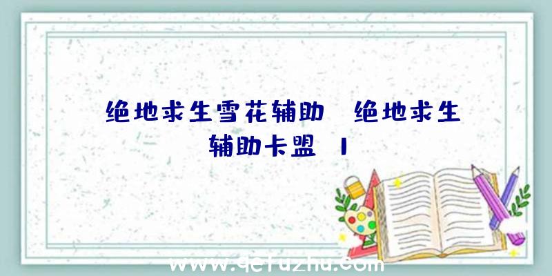 「绝地求生雪花辅助」|绝地求生辅助卡盟x1